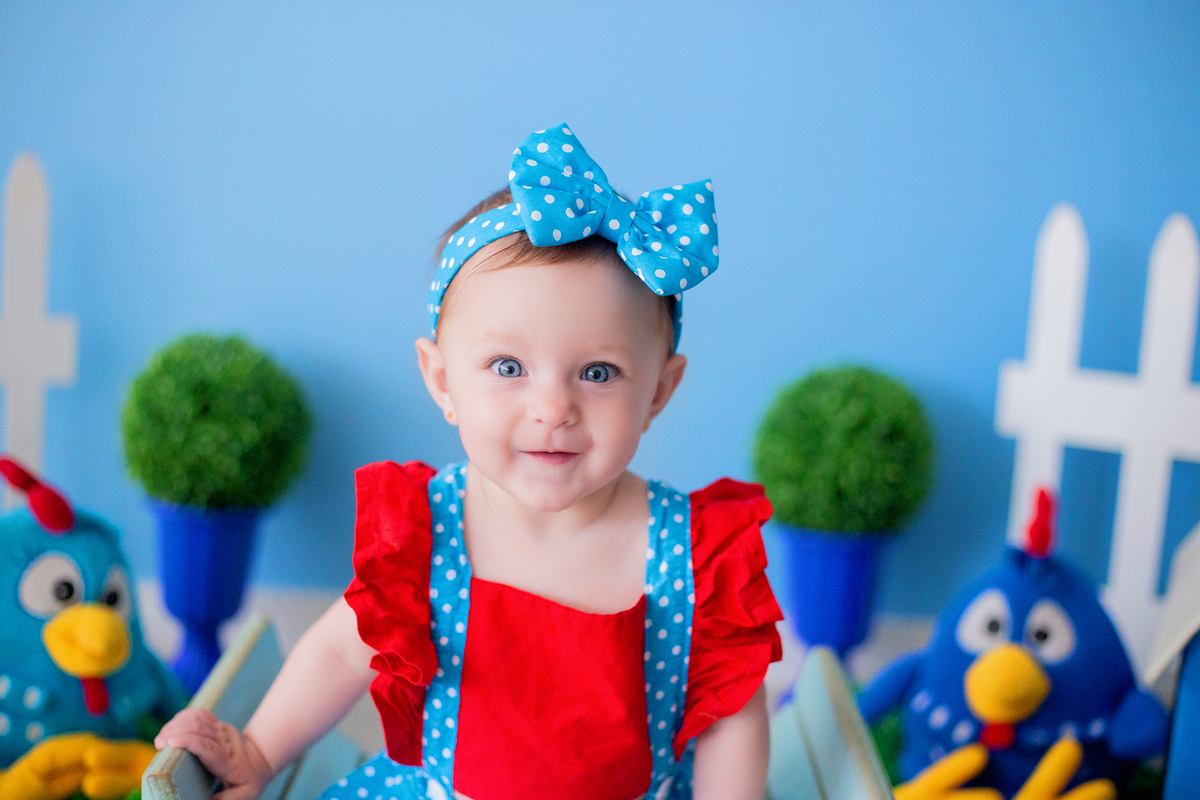 acompanhamento mensal de bebe caxias do sul figurino cenario tematico  personagem foto infantil serra gaucha fotografia familia mundo azul rosa ensaio fotografico crianca newborn baby menino menina smash the cake esmague o bolo banheira urso circo