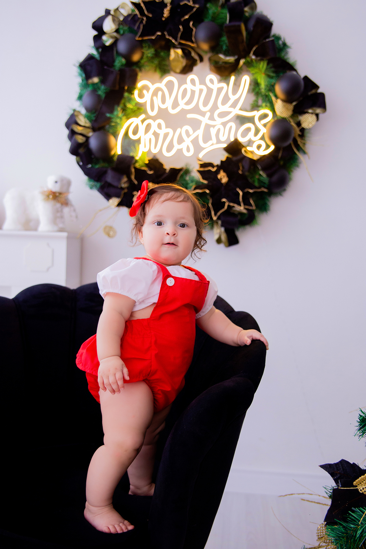 acompanhamento mensal de bebe caxias do sul figurino cenario tematico  personagem foto infantil serra gaucha fotografia familia mundo azul rosa ensaio fotografico crianca newborn baby menino menina smash the cake esmague o bolo banheira urso circo