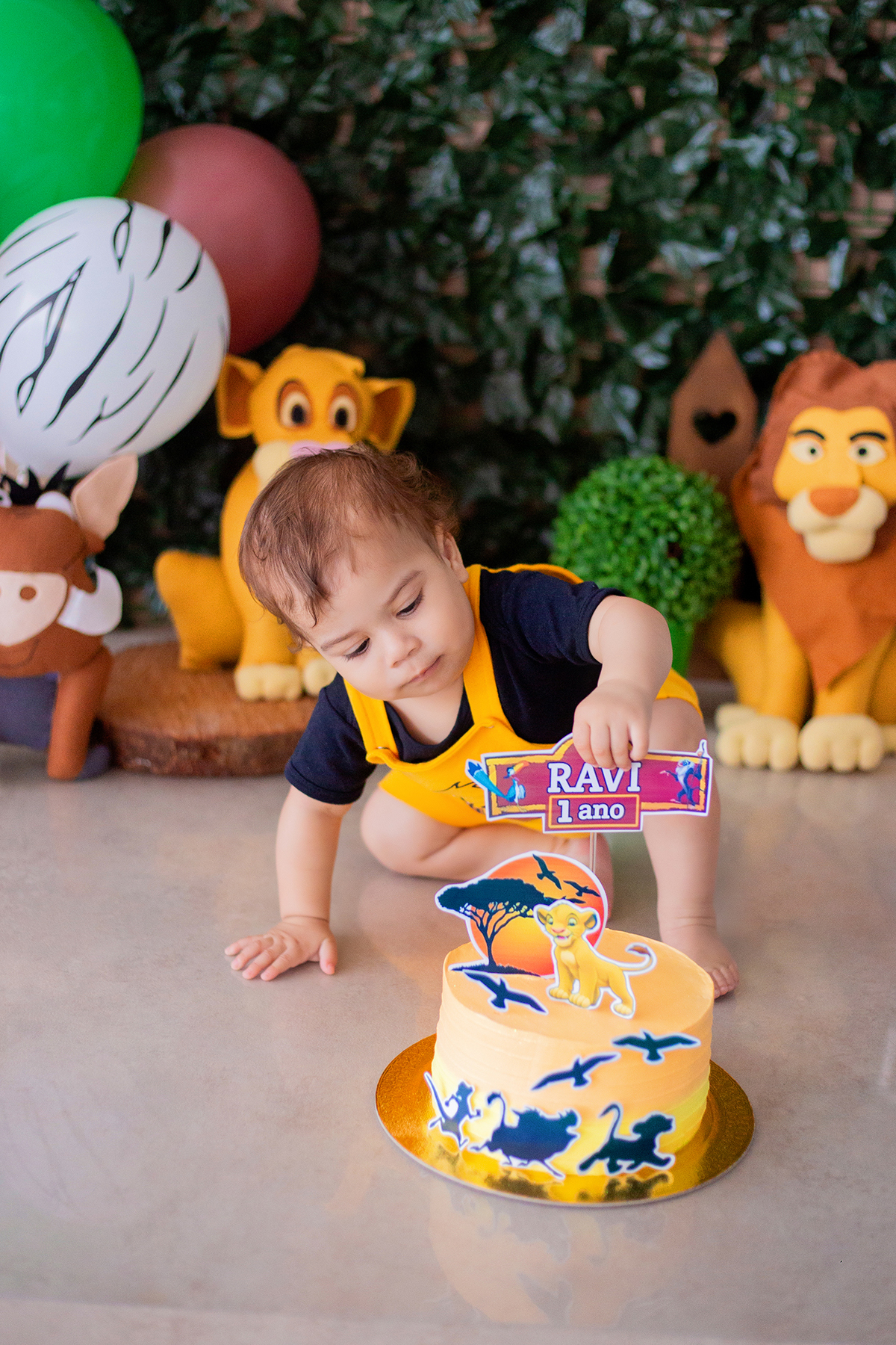 acompanhamento mensal de bebe caxias do sul figurino cenario tematico  personagem foto infantil serra gaucha fotografia familia mundo azul rosa ensaio fotografico crianca newborn baby menino menina smash the cake esmague o bolo banheira urso circo