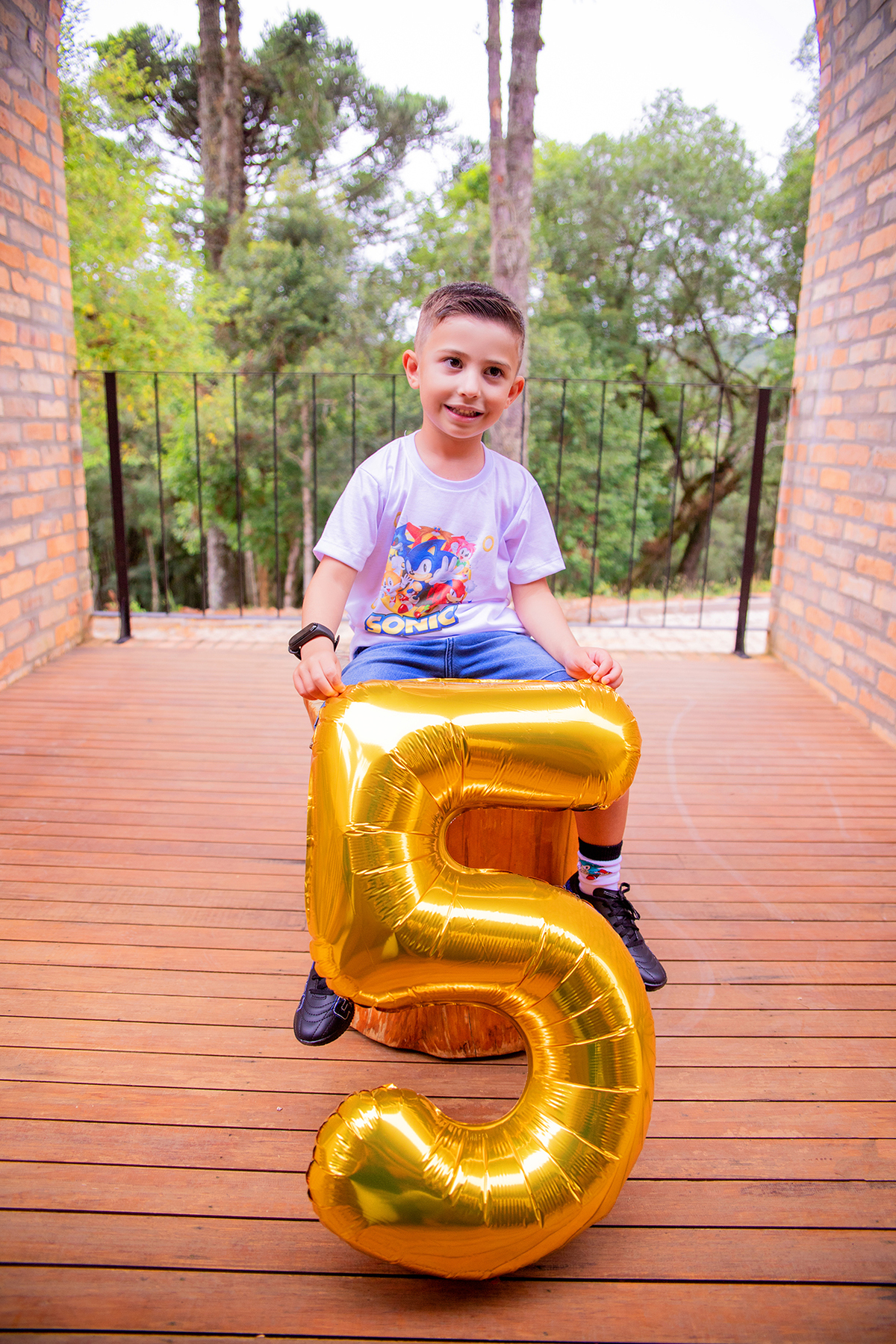 acompanhamento mensal de bebe caxias do sul figurino cenario tematico  personagem foto infantil serra gaucha fotografia familia mundo azul rosa ensaio fotografico crianca newborn baby menino menina smash the cake esmague o bolo banheira urso circo