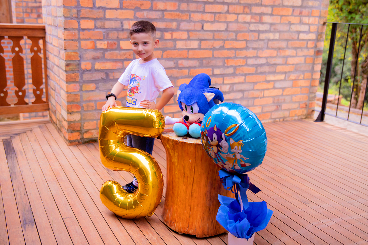 acompanhamento mensal de bebe caxias do sul figurino cenario tematico  personagem foto infantil serra gaucha fotografia familia mundo azul rosa ensaio fotografico crianca newborn baby menino menina smash the cake esmague o bolo banheira urso circo