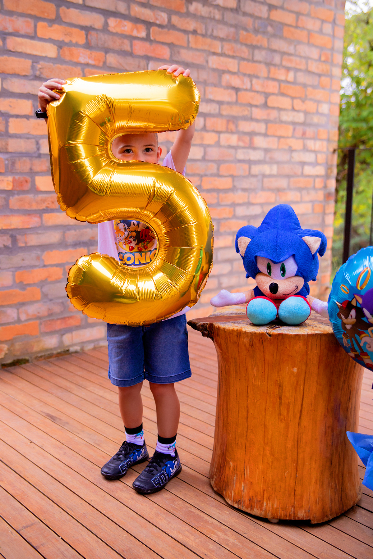 acompanhamento mensal de bebe caxias do sul figurino cenario tematico  personagem foto infantil serra gaucha fotografia familia mundo azul rosa ensaio fotografico crianca newborn baby menino menina smash the cake esmague o bolo banheira urso circo