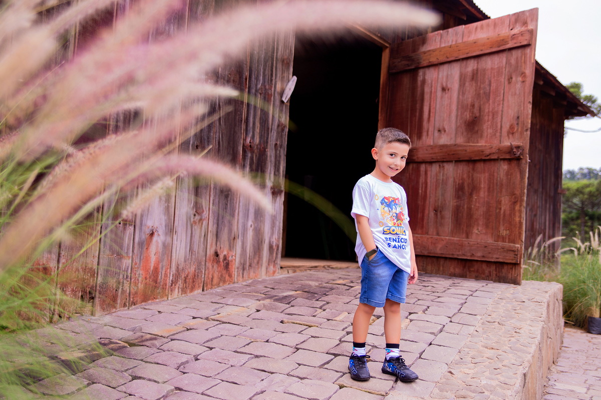 acompanhamento mensal de bebe caxias do sul figurino cenario tematico  personagem foto infantil serra gaucha fotografia familia mundo azul rosa ensaio fotografico crianca newborn baby menino menina smash the cake esmague o bolo banheira urso circo
