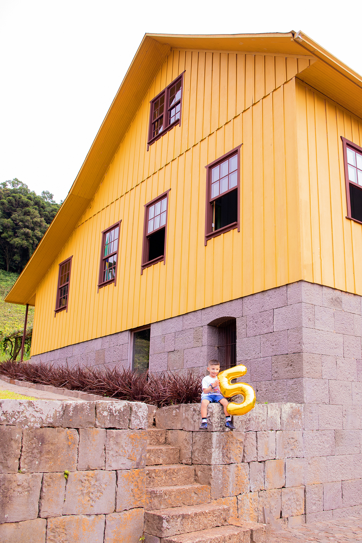 acompanhamento mensal de bebe caxias do sul figurino cenario tematico  personagem foto infantil serra gaucha fotografia familia mundo azul rosa ensaio fotografico crianca newborn baby menino menina smash the cake esmague o bolo banheira urso circo