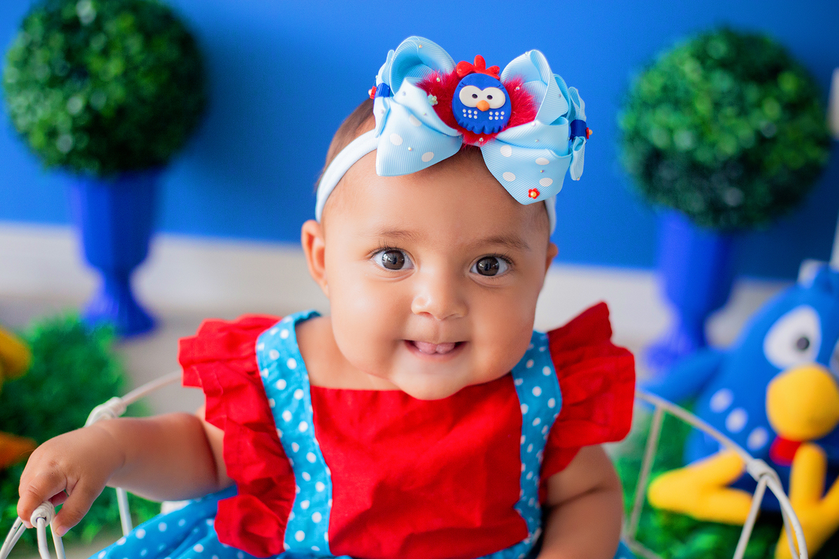 acompanhamento mensal de bebe caxias do sul figurino cenario tematico  personagem foto infantil serra gaucha fotografia familia mundo azul rosa ensaio fotografico crianca newborn baby menino menina smash the cake esmague o bolo banheira urso circo