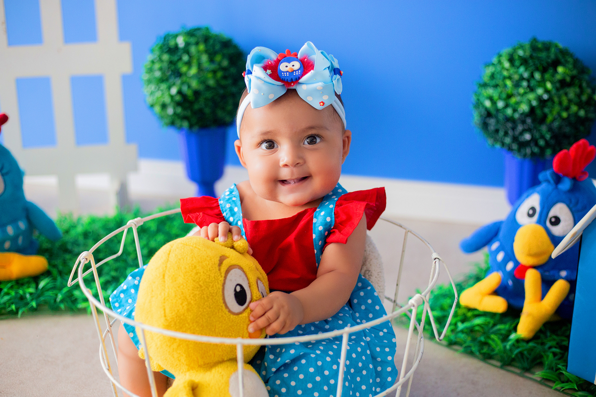 acompanhamento mensal de bebe caxias do sul figurino cenario tematico  personagem foto infantil serra gaucha fotografia familia mundo azul rosa ensaio fotografico crianca newborn baby menino menina smash the cake esmague o bolo banheira urso circo
