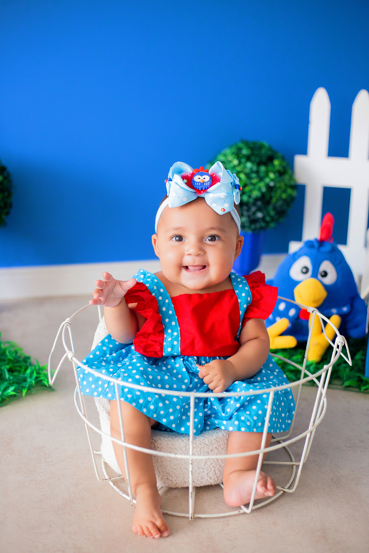 acompanhamento mensal de bebe caxias do sul figurino cenario tematico  personagem foto infantil serra gaucha fotografia familia mundo azul rosa ensaio fotografico crianca newborn baby menino menina smash the cake esmague o bolo banheira urso circo