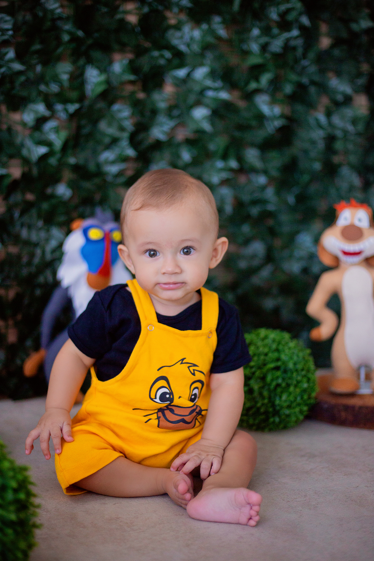 acompanhamento mensal de bebe caxias do sul figurino cenario tematico  personagem foto infantil serra gaucha fotografia familia mundo azul rosa ensaio fotografico crianca newborn baby menino menina smash the cake esmague o bolo banheira urso circo