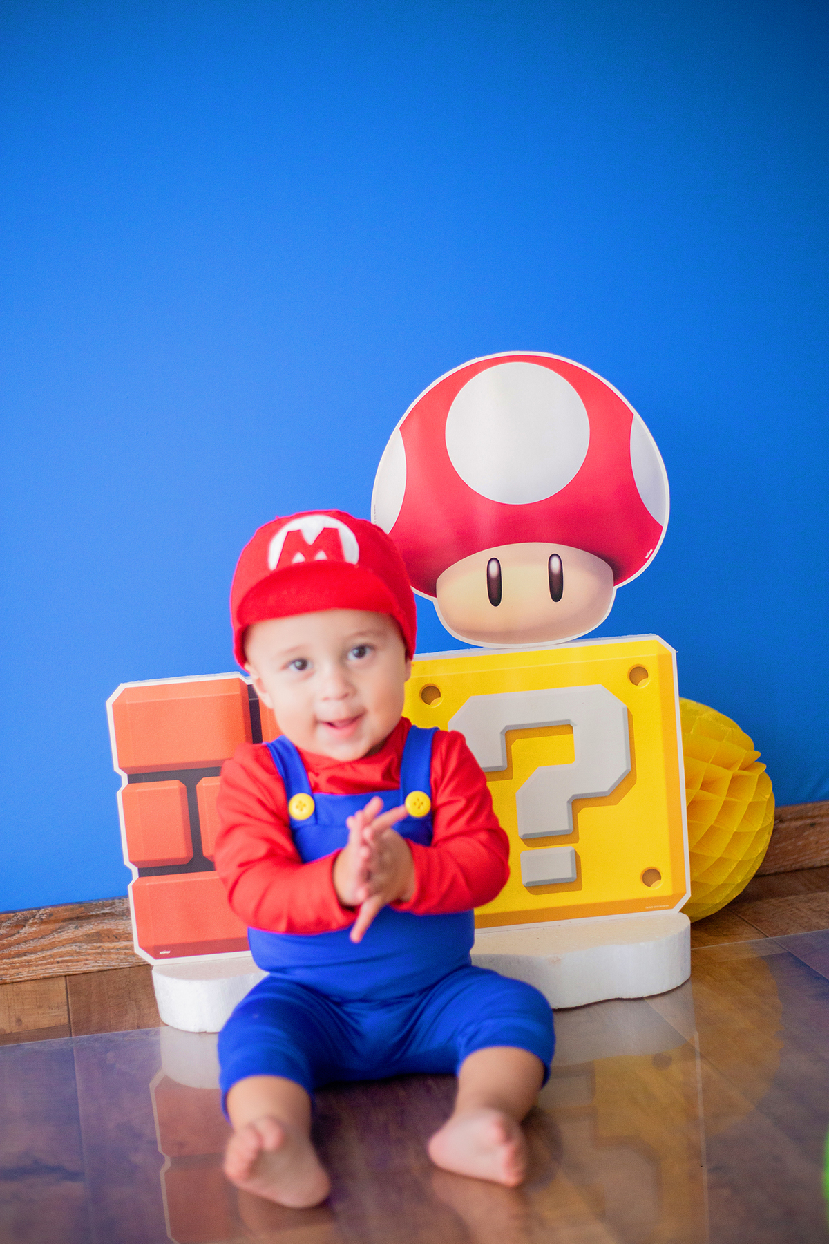 acompanhamento mensal de bebe caxias do sul figurino cenario tematico  personagem foto infantil serra gaucha fotografia familia mundo azul rosa ensaio fotografico crianca newborn baby menino menina smash the cake esmague o bolo banheira urso circo