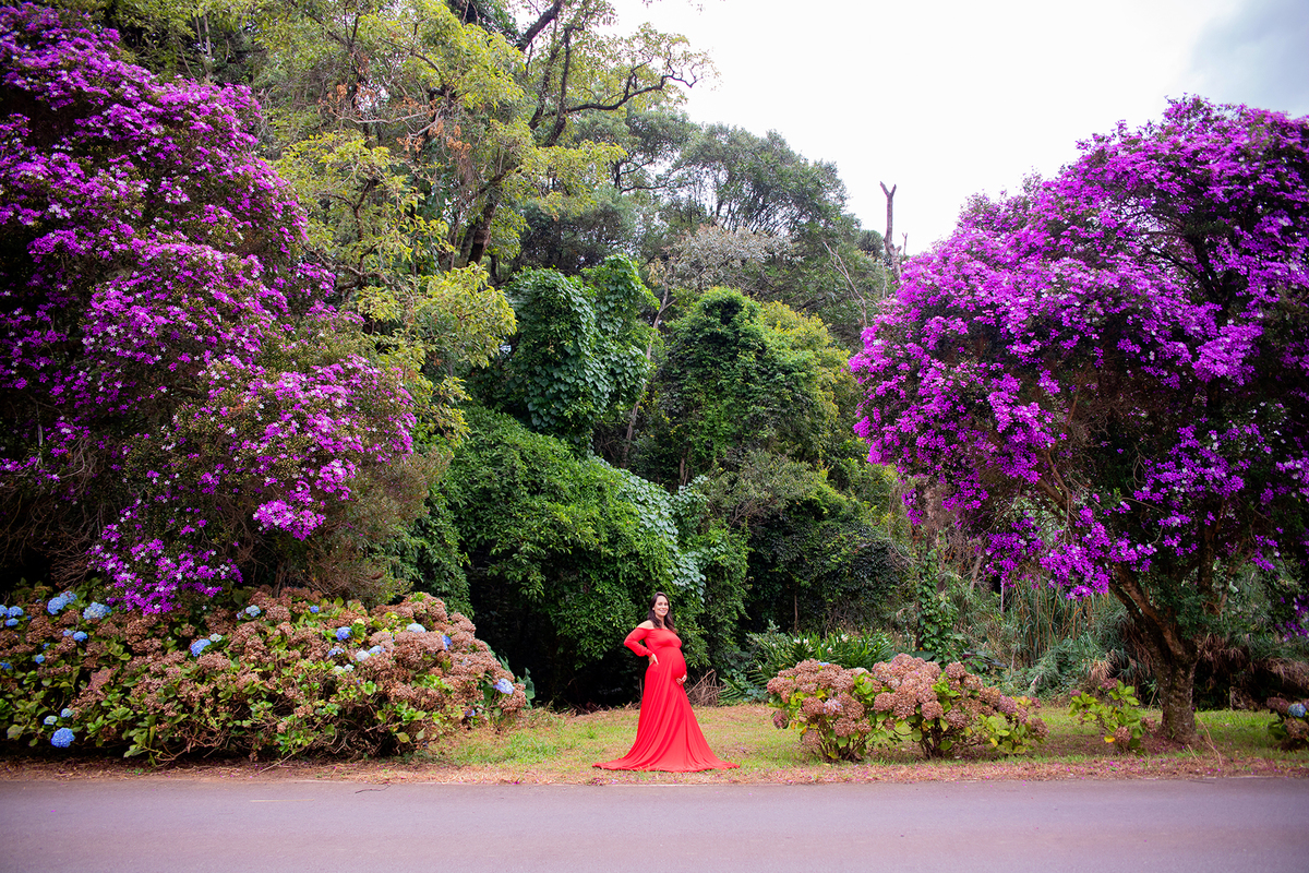 acompanhamento mensal de bebe caxias do sul figurino cenario tematico  personagem foto infantil serra gaucha fotografia familia mundo azul rosa ensaio fotografico crianca newborn baby menino menina smash the cake esmague o bolo banheira urso circo