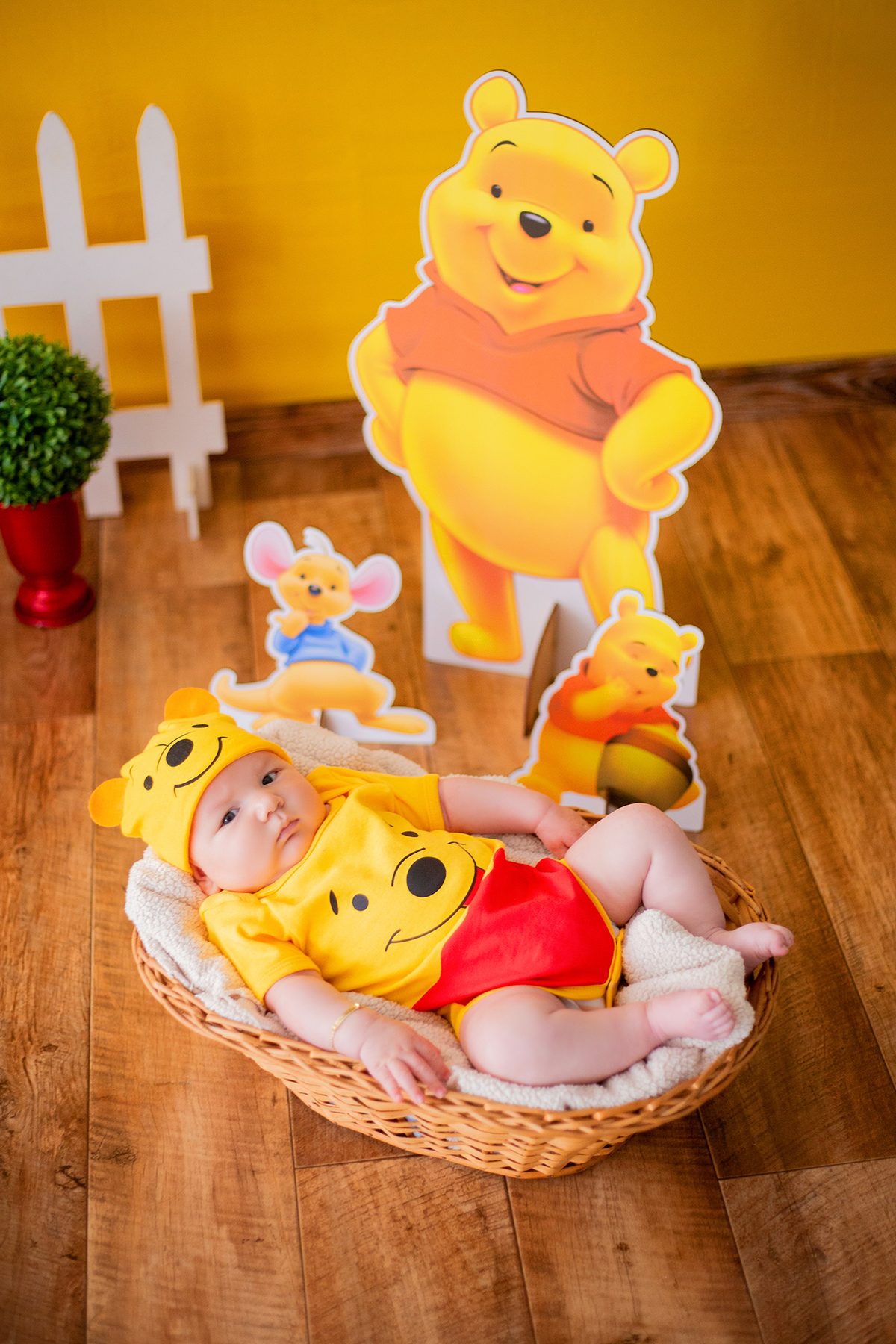 acompanhamento mensal de bebe caxias do sul figurino cenario tematico  personagem foto infantil serra gaucha fotografia familia mundo azul rosa ensaio fotografico crianca newborn baby menino menina smash the cake esmague o bolo banheira urso circoaco