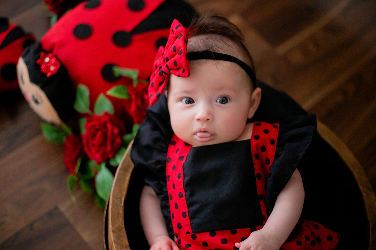 acompanhamento mensal de bebe caxias do sul figurino cenario tematico  personagem foto infantil serra gaucha fotografia familia mundo azul rosa ensaio fotografico crianca newborn baby menino menina smash the cake esmague o bolo banheira urso circoaco