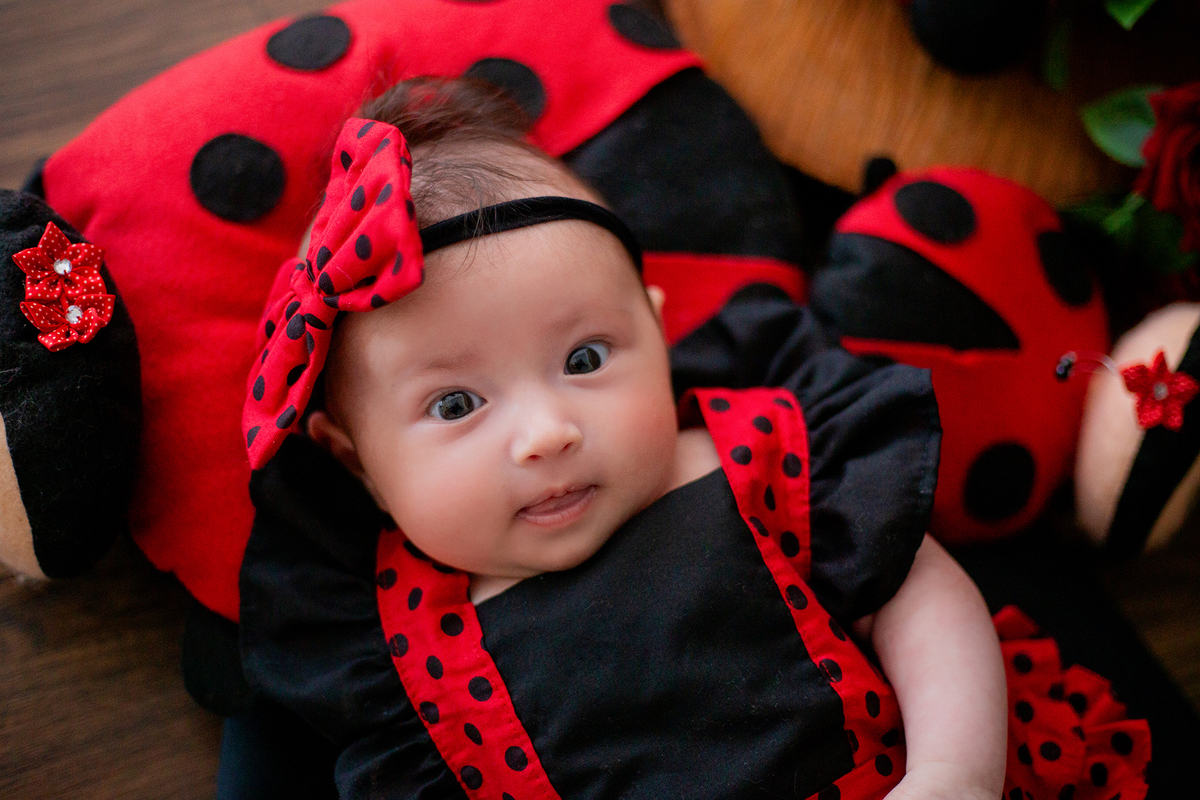 acompanhamento mensal de bebe caxias do sul figurino cenario tematico  personagem foto infantil serra gaucha fotografia familia mundo azul rosa ensaio fotografico crianca newborn baby menino menina smash the cake esmague o bolo banheira urso circoaco