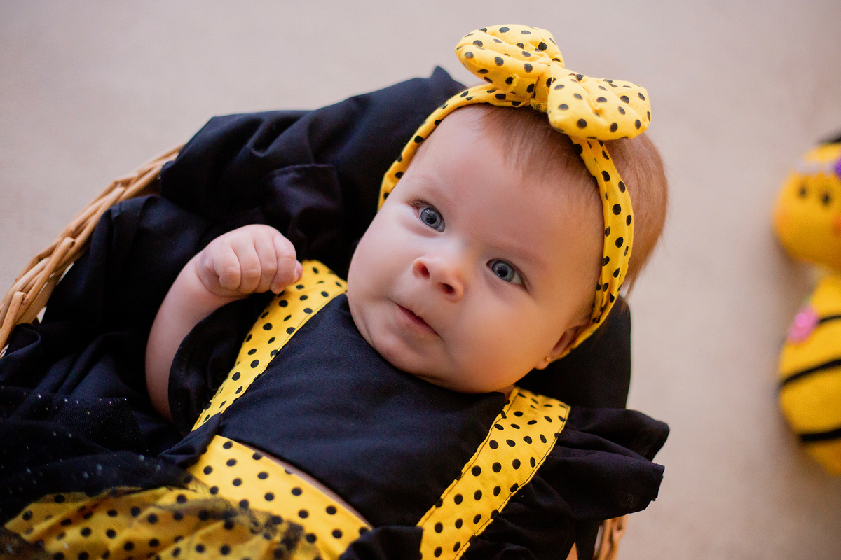 acompanhamento mensal de bebe caxias do sul figurino cenario tematico  personagem foto infantil serra gaucha fotografia familia mundo azul rosa ensaio fotografico crianca newborn baby menino menina smash the cake esmague o bolo banheira urso circoaco