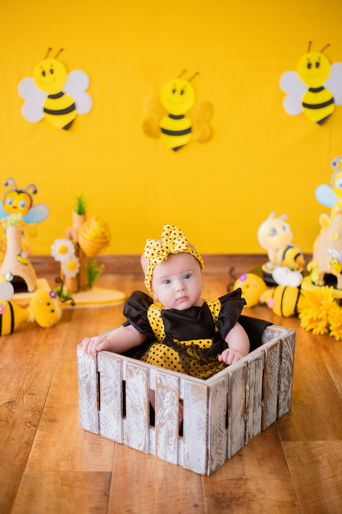 acompanhamento mensal de bebe caxias do sul figurino cenario tematico  personagem foto infantil serra gaucha fotografia familia mundo azul rosa ensaio fotografico crianca newborn baby menino menina smash the cake esmague o bolo banheira urso circoaco