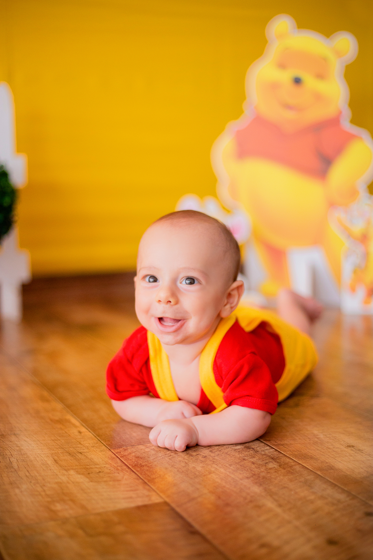 acompanhamento mensal de bebe caxias do sul figurino cenario tematico  personagem foto infantil serra gaucha fotografia familia mundo azul rosa ensaio fotografico crianca newborn baby menino menina smash the cake esmague o bolo banheira urso circoaco