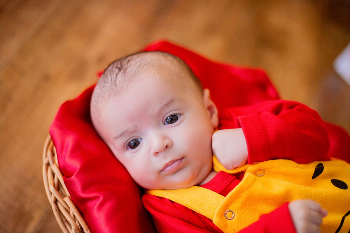 acompanhamento mensal de bebe caxias do sul figurino cenario tematico  personagem foto infantil serra gaucha fotografia familia mundo azul rosa ensaio fotografico crianca newborn baby menino menina smash the cake esmague o bolo banheira urso circoaco