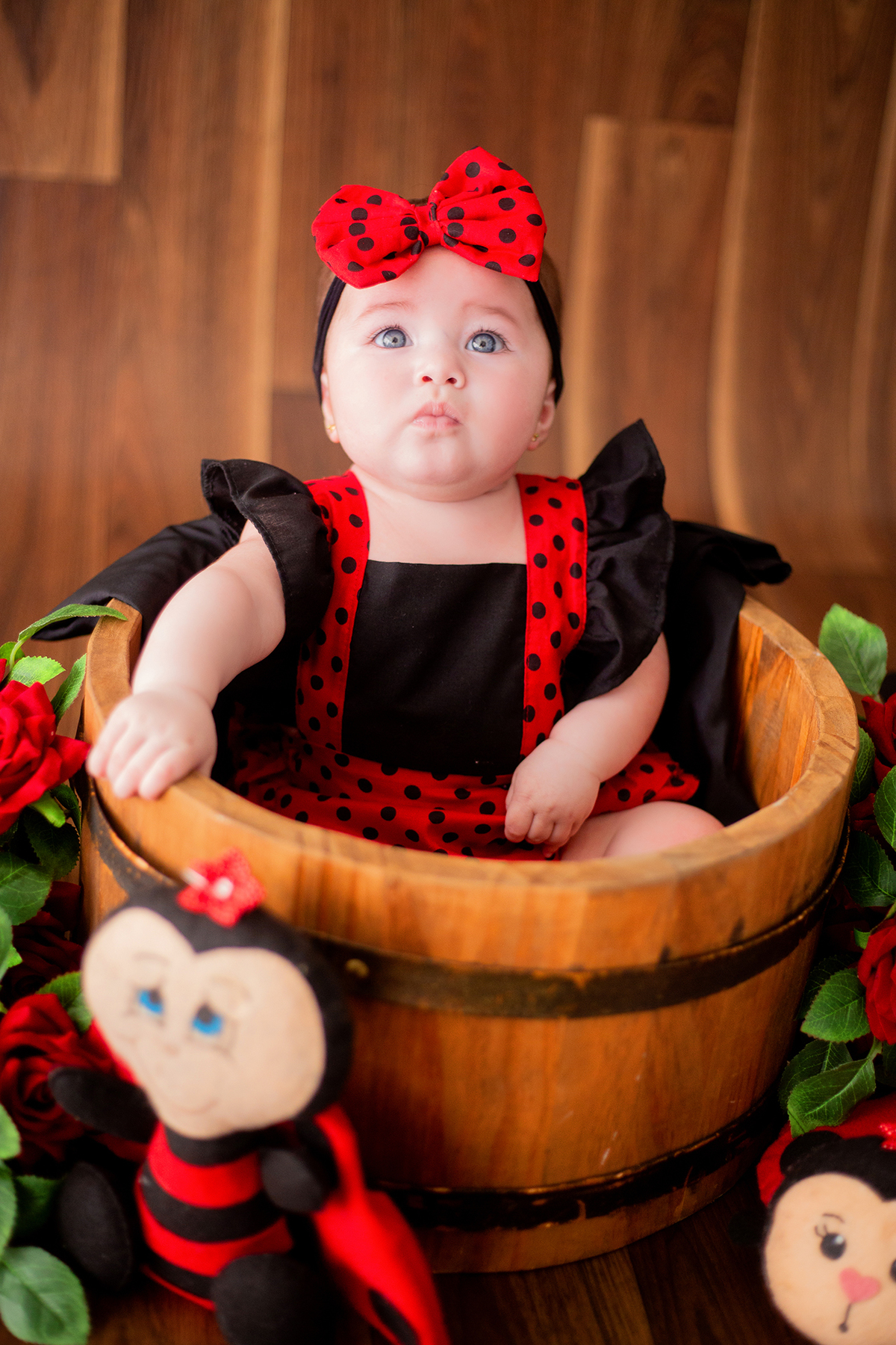 acompanhamento mensal de bebe caxias do sul figurino cenario tematico  personagem foto infantil serra gaucha fotografia familia mundo azul rosa ensaio fotografico crianca newborn baby menino menina smash the cake esmague o bolo banheira urso circoaco