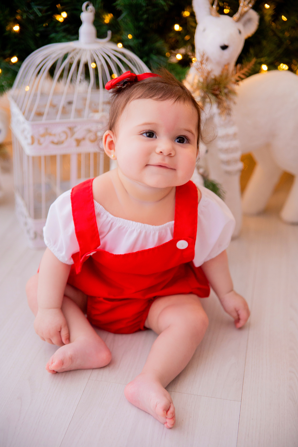 acompanhamento mensal de bebe caxias do sul figurino cenario tematico  personagem foto infantil serra gaucha fotografia familia mundo azul rosa ensaio fotografico crianca newborn baby menino menina smash the cake esmague o bolo banheira urso circoaco