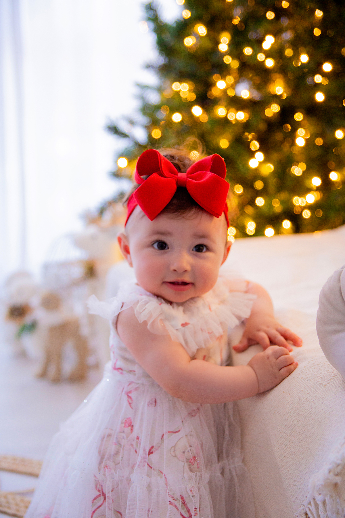 acompanhamento mensal de bebe caxias do sul figurino cenario tematico  personagem foto infantil serra gaucha fotografia familia mundo azul rosa ensaio fotografico crianca newborn baby menino menina smash the cake esmague o bolo banheira urso circoaco
