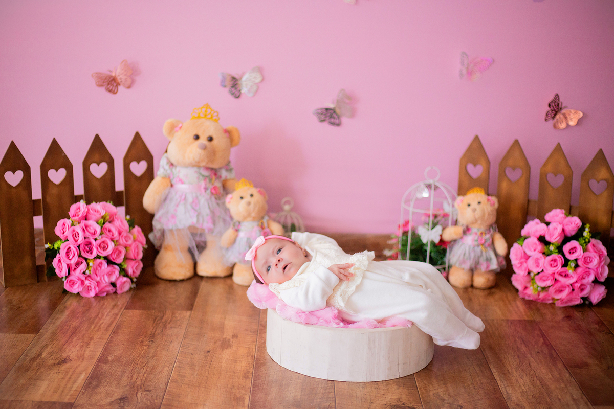 acompanhamento mensal de bebe caxias do sul figurino cenario tematico  personagem foto infantil serra gaucha fotografia familia mundo azul rosa ensaio fotografico crianca newborn baby menino menina smash the cake esmague o bolo banheira urso circoaco