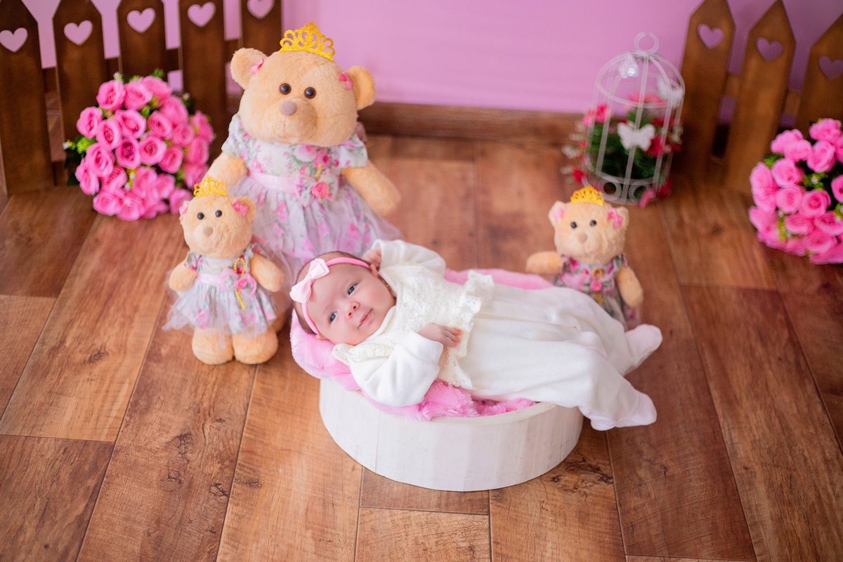 acompanhamento mensal de bebe caxias do sul figurino cenario tematico  personagem foto infantil serra gaucha fotografia familia mundo azul rosa ensaio fotografico crianca newborn baby menino menina smash the cake esmague o bolo banheira urso circoaco