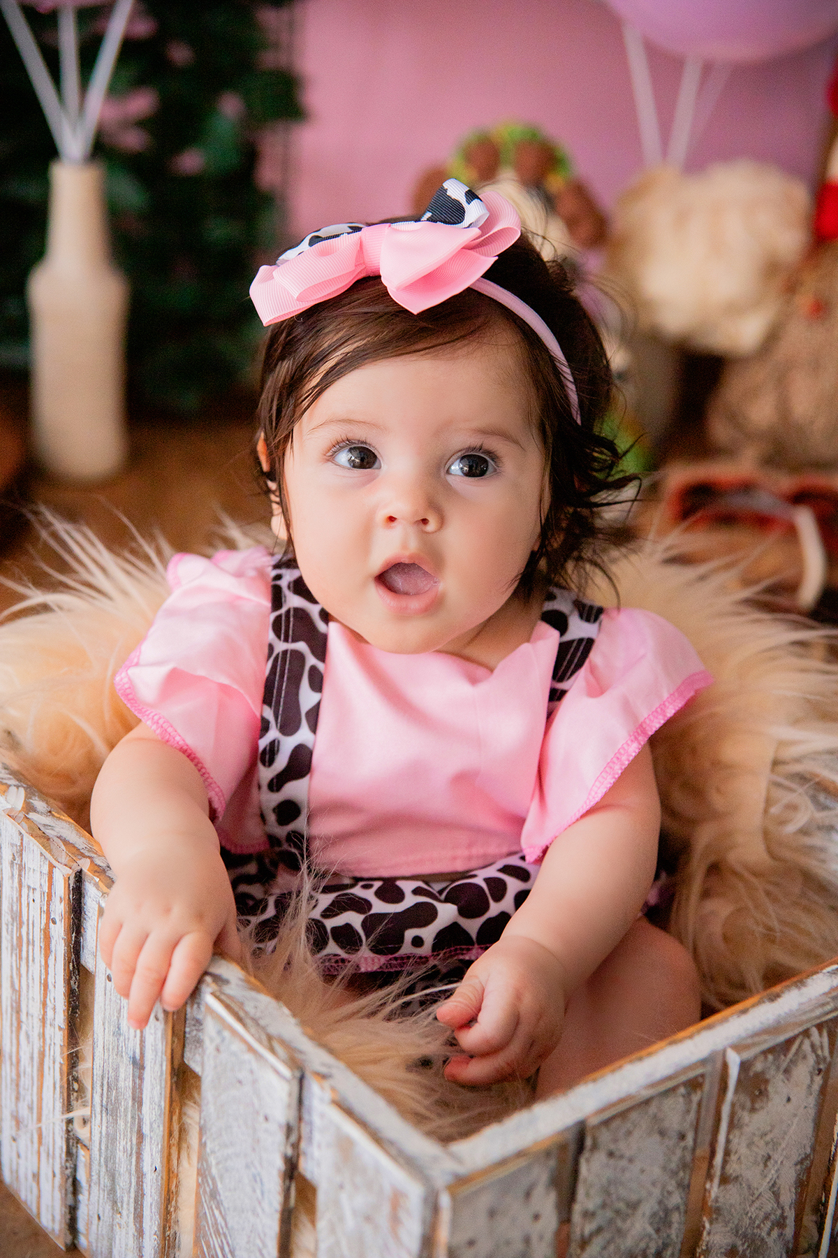 acompanhamento mensal de bebe caxias do sul figurino cenario tematico  personagem foto infantil serra gaucha fotografia familia mundo azul rosa ensaio fotografico crianca newborn baby menino menina smash the cake esmague o bolo banheira urso circoaco