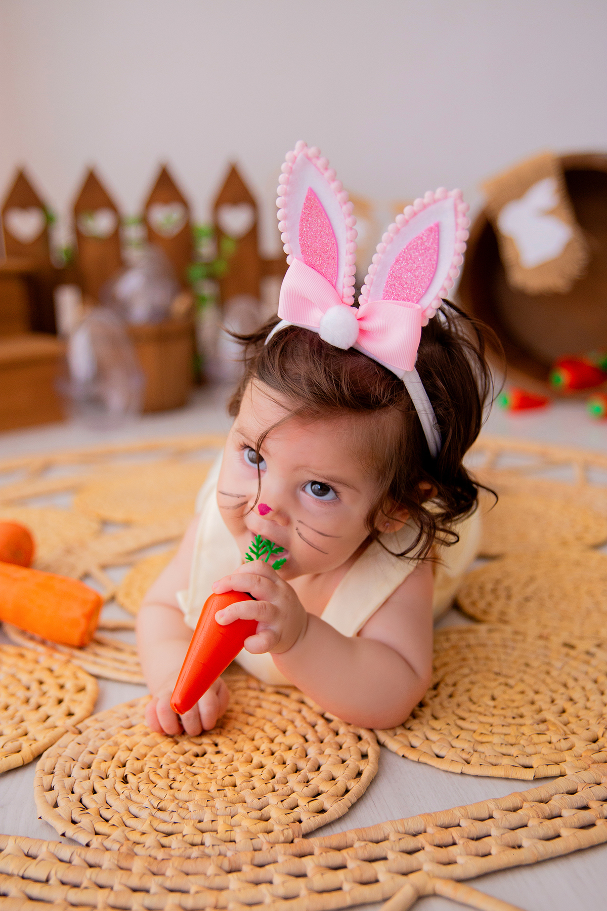 acompanhamento mensal de bebe caxias do sul figurino cenario tematico  personagem foto infantil serra gaucha fotografia familia mundo azul rosa ensaio fotografico crianca newborn baby menino menina smash the cake esmague o bolo banheira urso circoaco