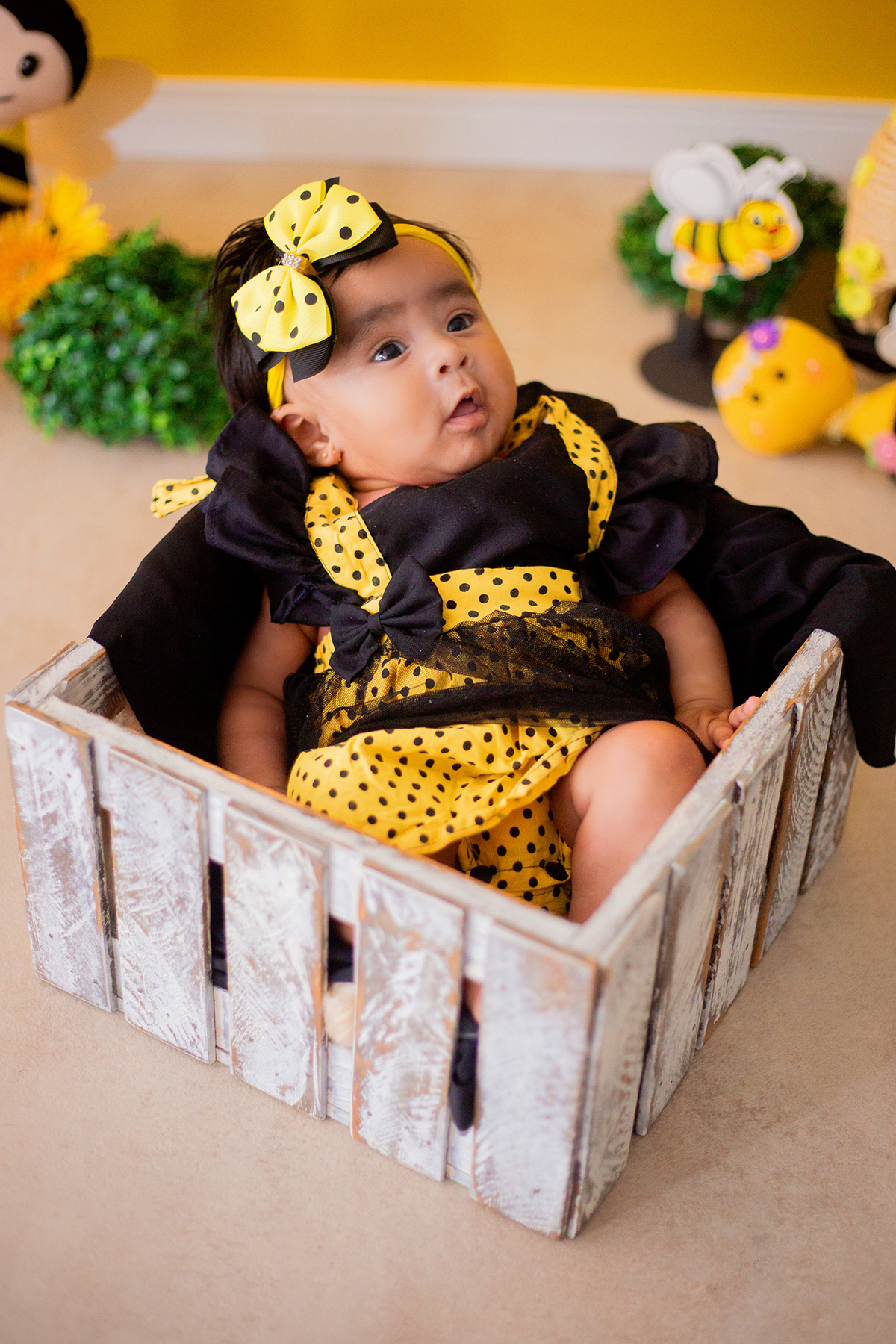 acompanhamento mensal de bebe caxias do sul figurino cenario tematico  personagem foto infantil serra gaucha fotografia familia mundo azul rosa ensaio fotografico crianca newborn baby menino menina smash the cake esmague o bolo banheira urso circoaco