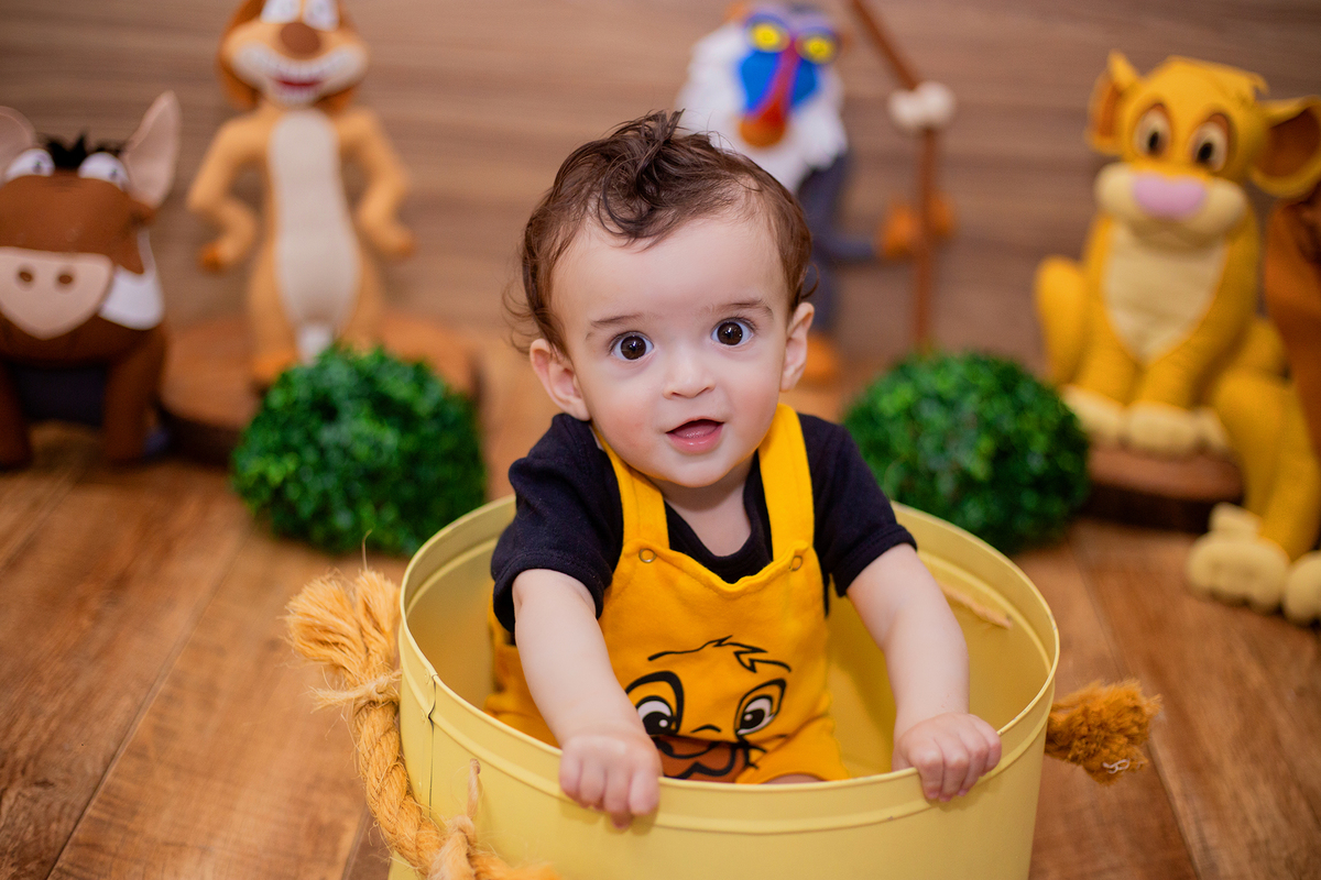 acompanhamento mensal de bebe caxias do sul figurino cenario tematico  personagem foto infantil serra gaucha fotografia familia mundo azul rosa ensaio fotografico crianca newborn baby menino menina smash the cake esmague o bolo banheira urso circoaco