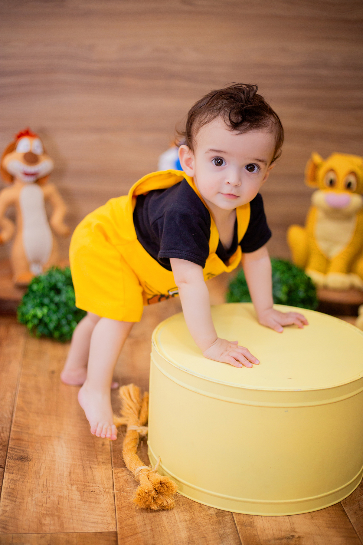 acompanhamento mensal de bebe caxias do sul figurino cenario tematico  personagem foto infantil serra gaucha fotografia familia mundo azul rosa ensaio fotografico crianca newborn baby menino menina smash the cake esmague o bolo banheira urso circoaco