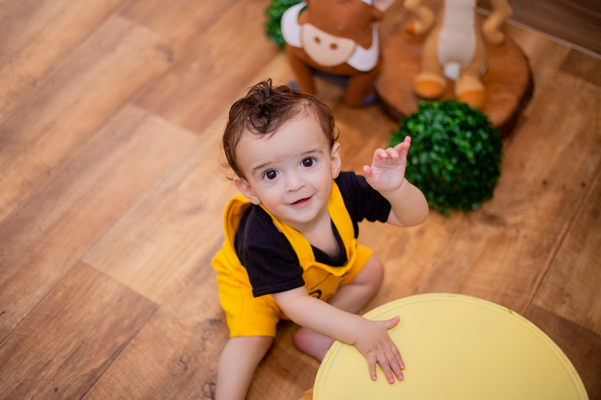 acompanhamento mensal de bebe caxias do sul figurino cenario tematico  personagem foto infantil serra gaucha fotografia familia mundo azul rosa ensaio fotografico crianca newborn baby menino menina smash the cake esmague o bolo banheira urso circoaco