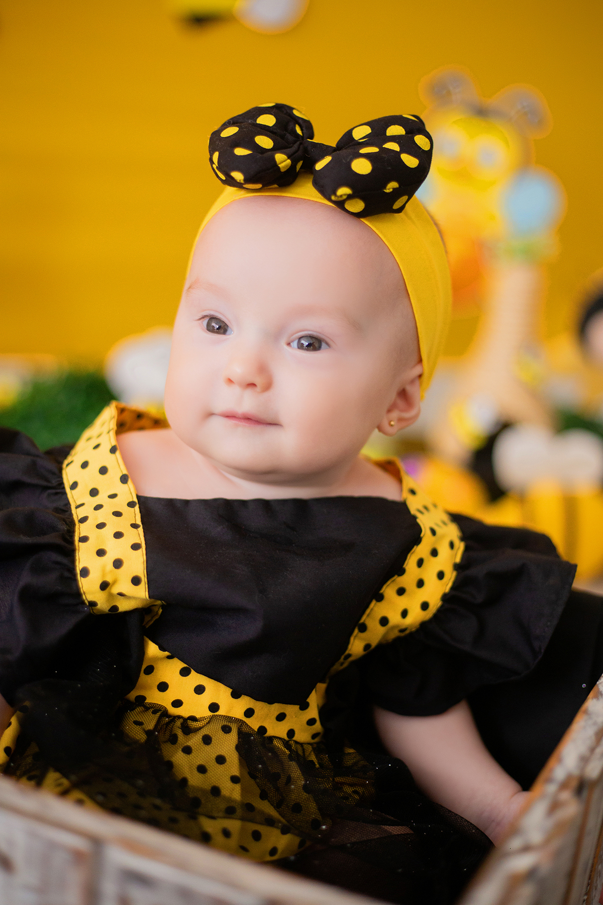 acompanhamento mensal de bebe caxias do sul figurino cenario tematico  personagem foto infantil serra gaucha fotografia familia mundo azul rosa ensaio fotografico crianca newborn baby menino menina smash the cake esmague o bolo banheira urso circoaco