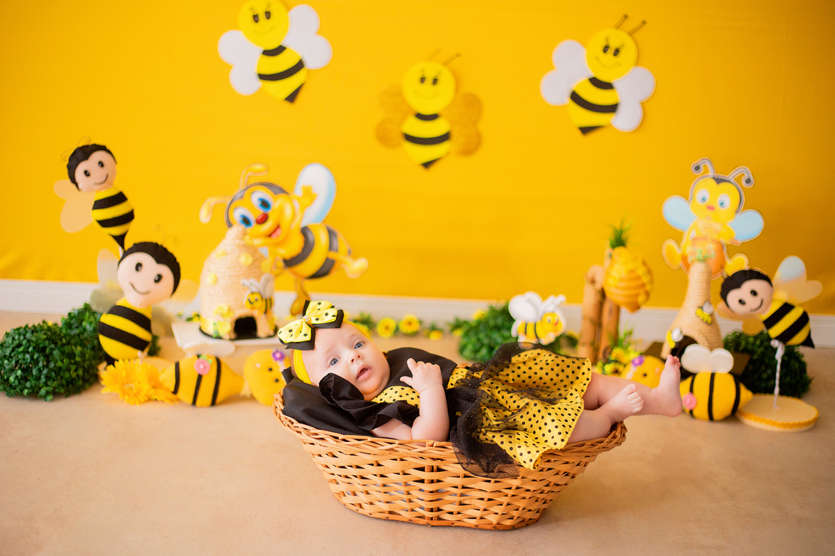 acompanhamento mensal de bebe caxias do sul figurino cenario tematico  personagem foto infantil serra gaucha fotografia familia mundo azul rosa ensaio fotografico crianca newborn baby menino menina smash the cake esmague o bolo banheira urso circoaco