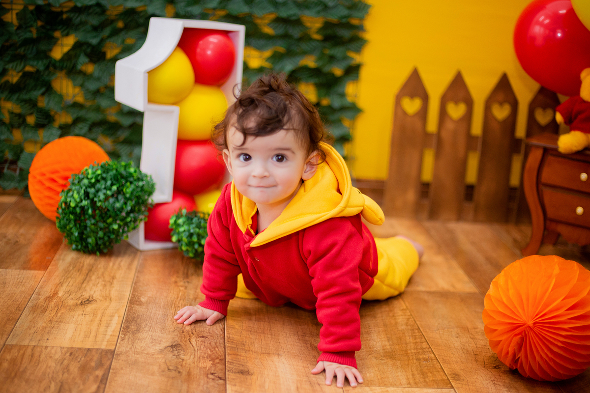 acompanhamento mensal de bebe caxias do sul figurino cenario tematico  personagem foto infantil serra gaucha fotografia familia mundo azul rosa ensaio fotografico crianca newborn baby menino menina smash the cake esmague o bolo banheira urso circoaco