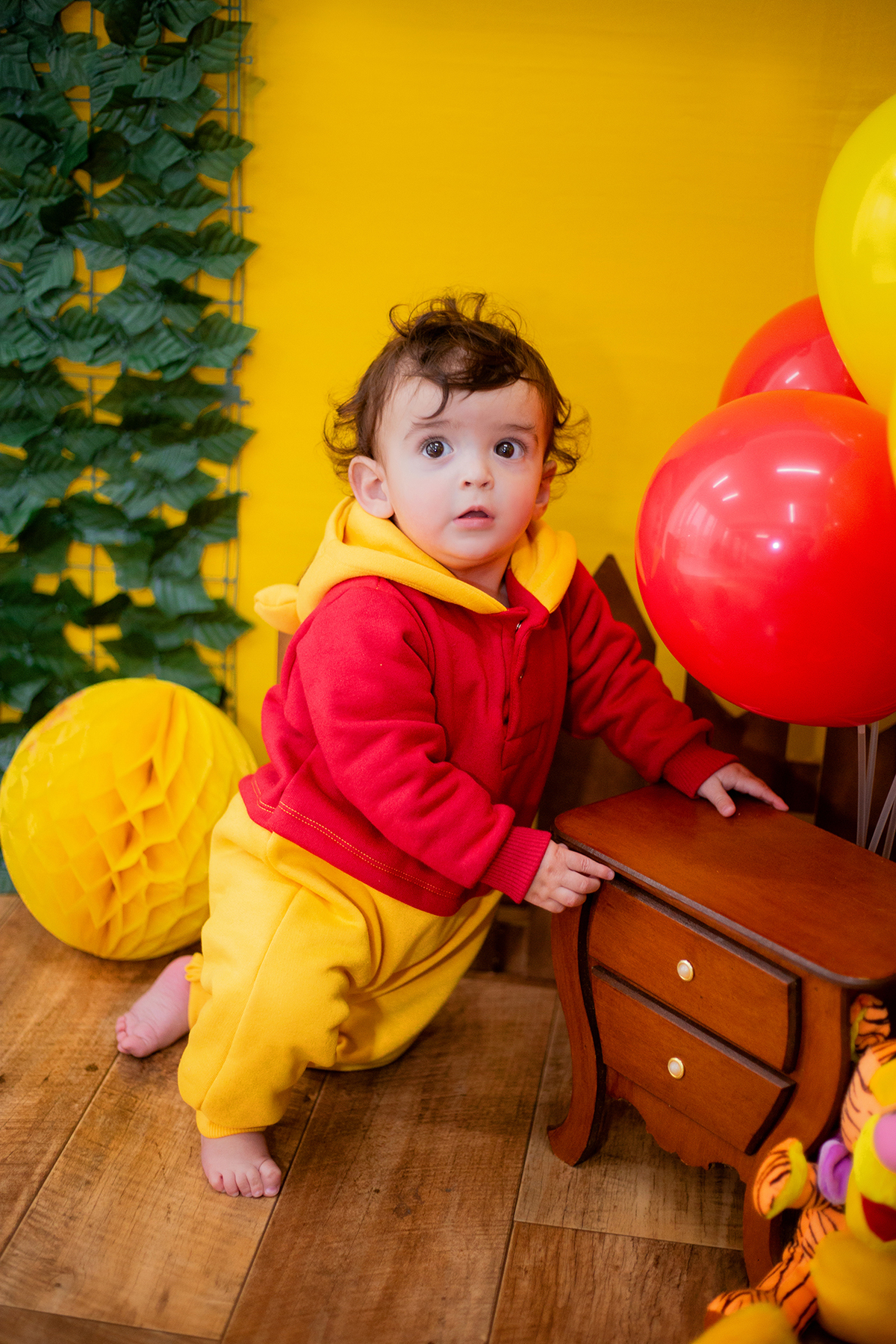acompanhamento mensal de bebe caxias do sul figurino cenario tematico  personagem foto infantil serra gaucha fotografia familia mundo azul rosa ensaio fotografico crianca newborn baby menino menina smash the cake esmague o bolo banheira urso circoaco