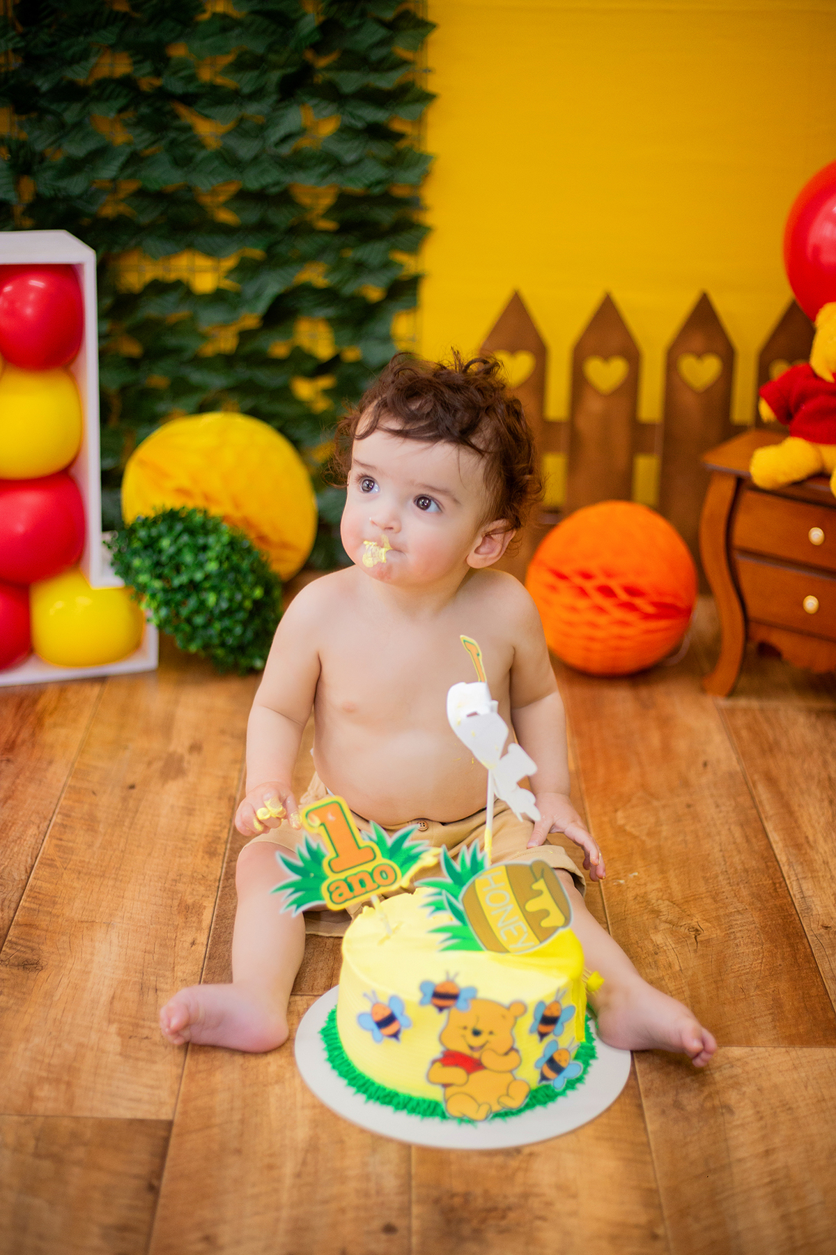 acompanhamento mensal de bebe caxias do sul figurino cenario tematico  personagem foto infantil serra gaucha fotografia familia mundo azul rosa ensaio fotografico crianca newborn baby menino menina smash the cake esmague o bolo banheira urso circoaco