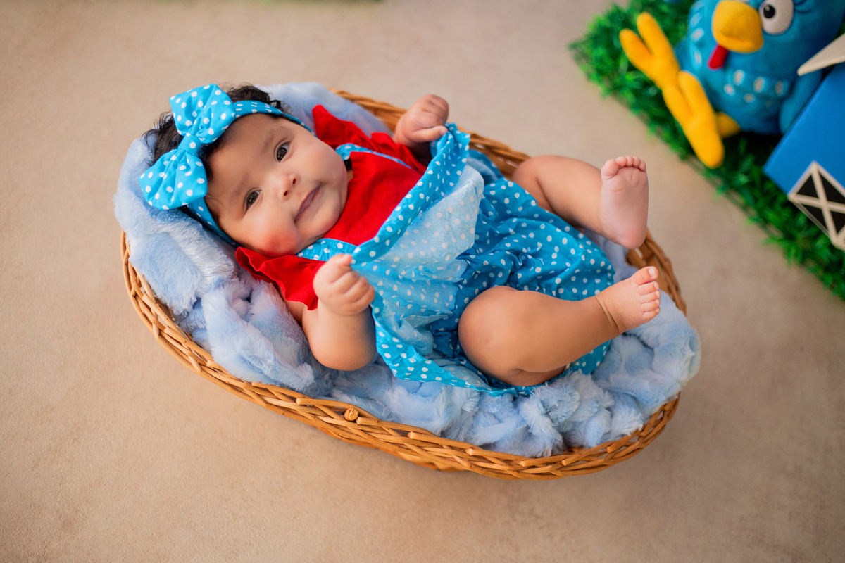 acompanhamento mensal de bebe caxias do sul figurino cenario tematico  personagem foto infantil serra gaucha fotografia familia mundo azul rosa ensaio fotografico crianca newborn baby menino menina smash the cake esmague o bolo banheira urso circoaco