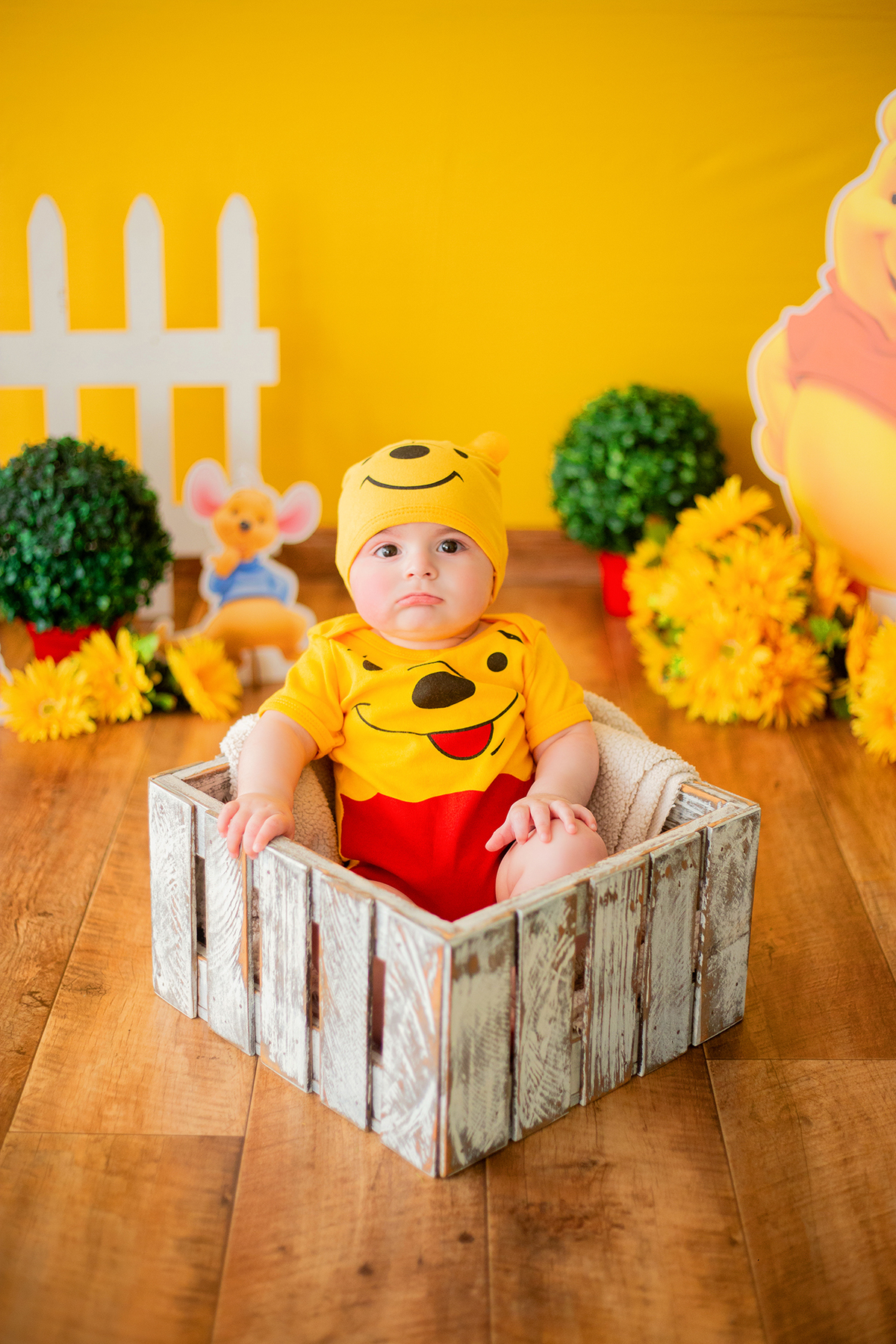 acompanhamento mensal de bebe caxias do sul figurino cenario tematico  personagem foto infantil serra gaucha fotografia familia mundo azul rosa ensaio fotografico crianca newborn baby menino menina smash the cake esmague o bolo banheira urso circoaco