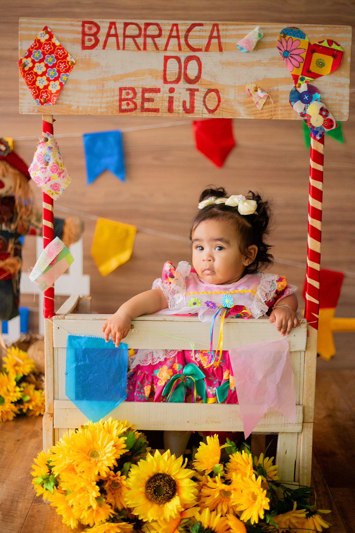 acompanhamento mensal de bebe caxias do sul figurino cenario tematico  personagem foto infantil serra gaucha fotografia familia mundo azul rosa ensaio fotografico crianca newborn baby menino menina smash the cake esmague o bolo banheira urso circoaco