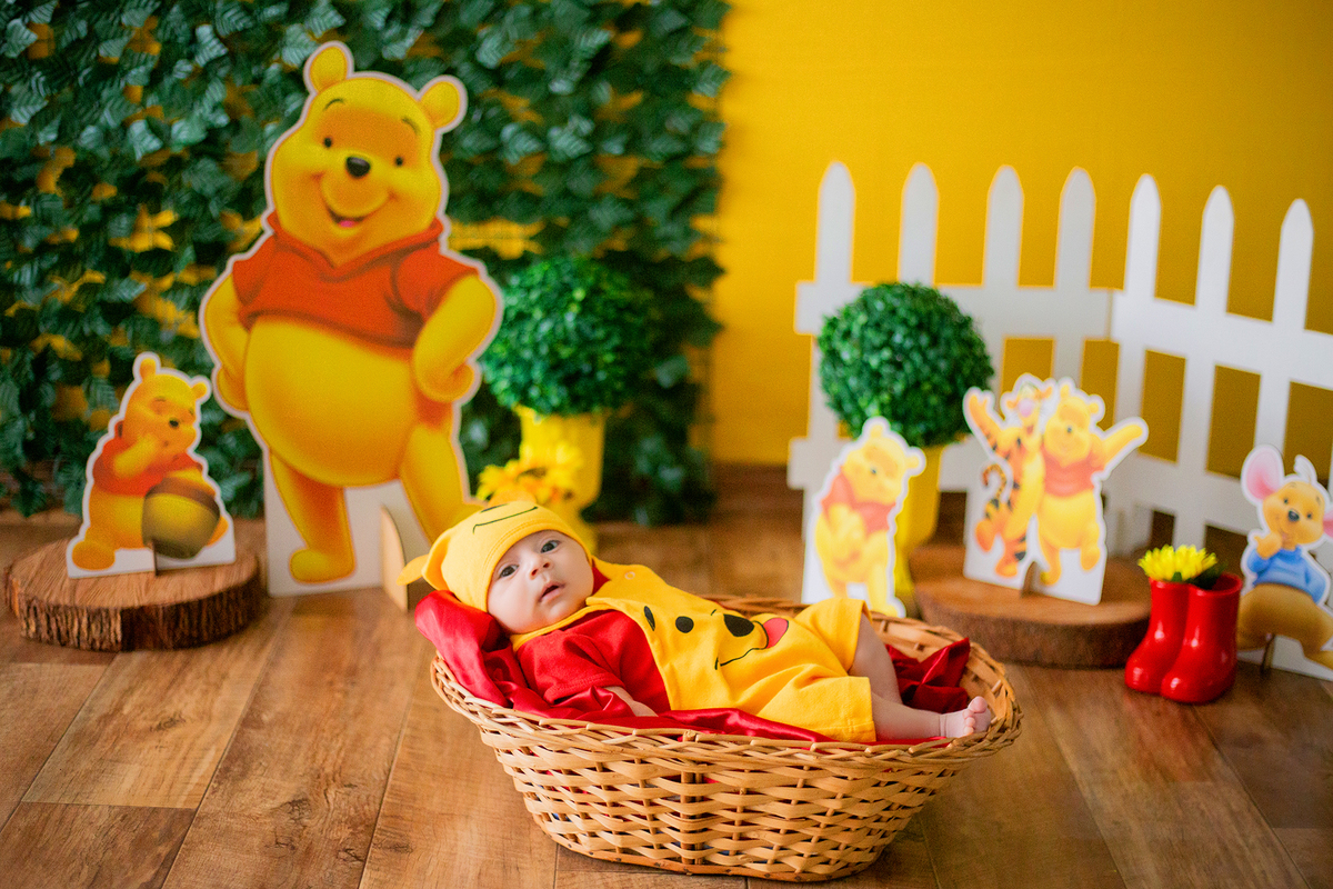 acompanhamento mensal de bebe caxias do sul figurino cenario tematico  personagem foto infantil serra gaucha fotografia familia mundo azul rosa ensaio fotografico crianca newborn baby menino menina smash the cake esmague o bolo banheira urso circoaco