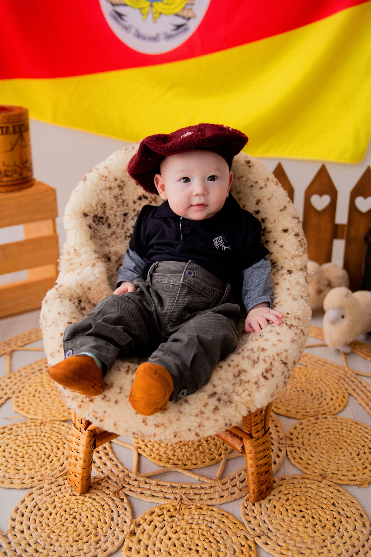 acompanhamento mensal de bebe caxias do sul figurino cenario tematico  personagem foto infantil serra gaucha fotografia familia mundo azul rosa ensaio fotografico crianca newborn baby menino menina smash the cake esmague o bolo banheira urso circoaco