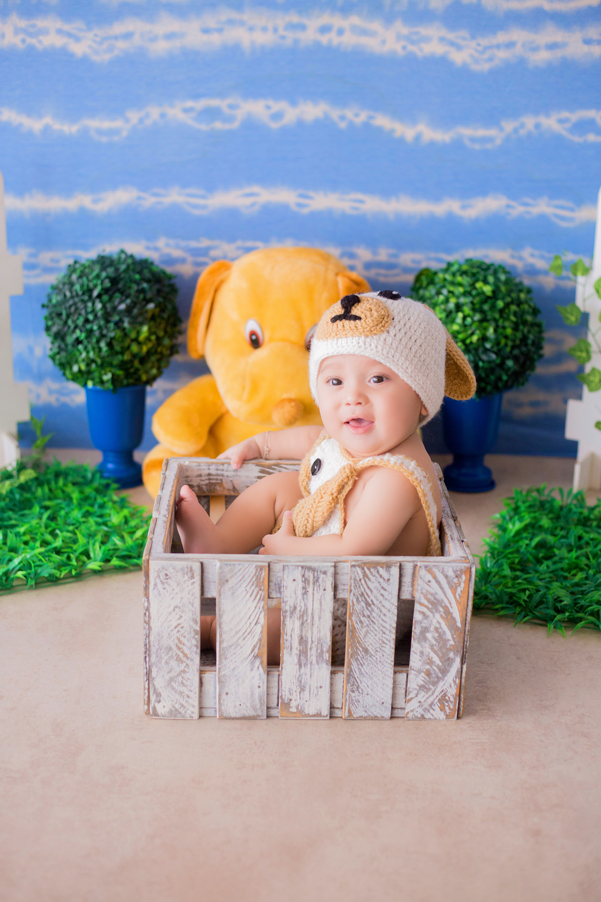 acompanhamento mensal de bebe caxias do sul figurino cenario tematico  personagem foto infantil serra gaucha fotografia familia mundo azul rosa ensaio fotografico crianca newborn baby menino menina smash the cake fruit esmague o bolo cachorro