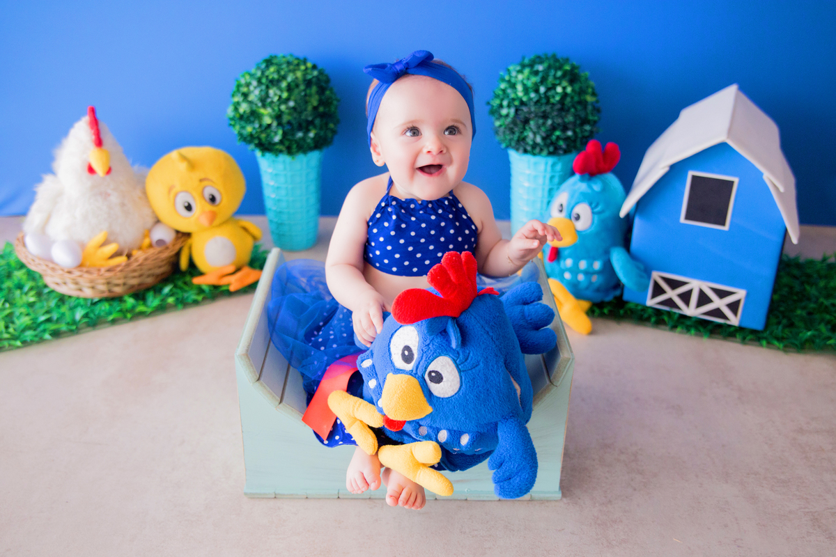 acompanhamento mensal de bebe caxias do sul figurino cenario tematico  personagem foto infantil serra gaucha fotografia familia mundo azul rosa ensaio fotografico crianca newborn baby menino menina smash the cake fruit esmague o bolo galinha pintadinha