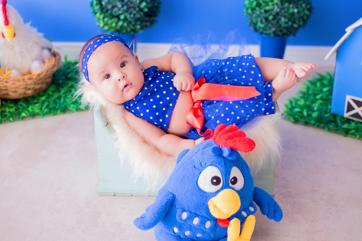 acompanhamento mensal de bebe caxias do sul figurino cenario tematico  personagem foto infantil serra gaucha fotografia familia mundo azul rosa ensaio fotografico crianca newborn baby menino menina smash the cake fruit esmague o bolo galinha pintadinha