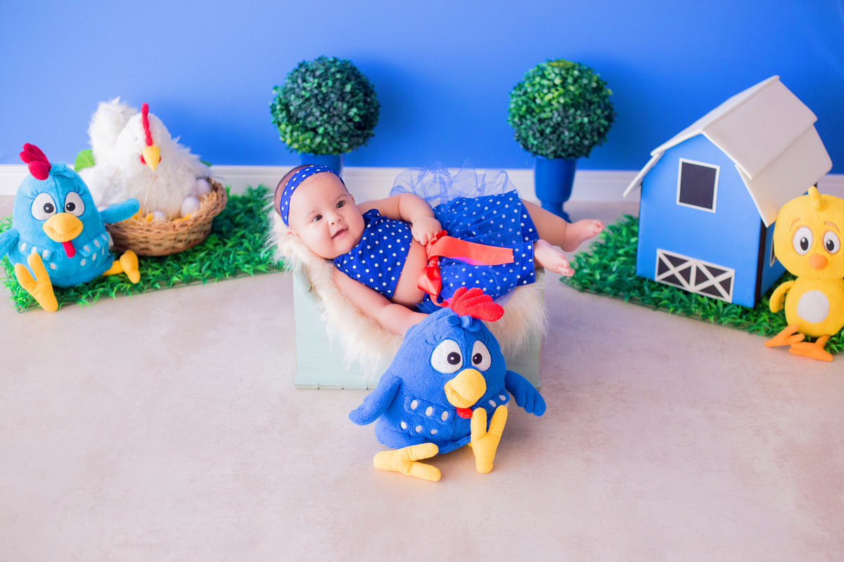 acompanhamento mensal de bebe caxias do sul figurino cenario tematico  personagem foto infantil serra gaucha fotografia familia mundo azul rosa ensaio fotografico crianca newborn baby menino menina smash the cake fruit esmague o bolo galinha pintadinha