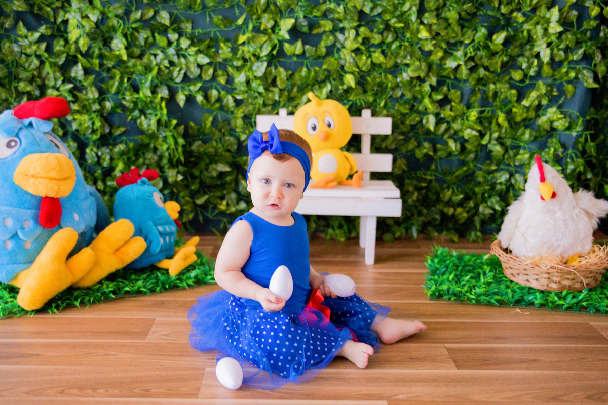 acompanhamento mensal de bebe caxias do sul figurino cenario tematico  personagem foto infantil serra gaucha fotografia familia mundo azul rosa ensaio fotografico crianca newborn baby menino menina smash the cake esmague o bolo