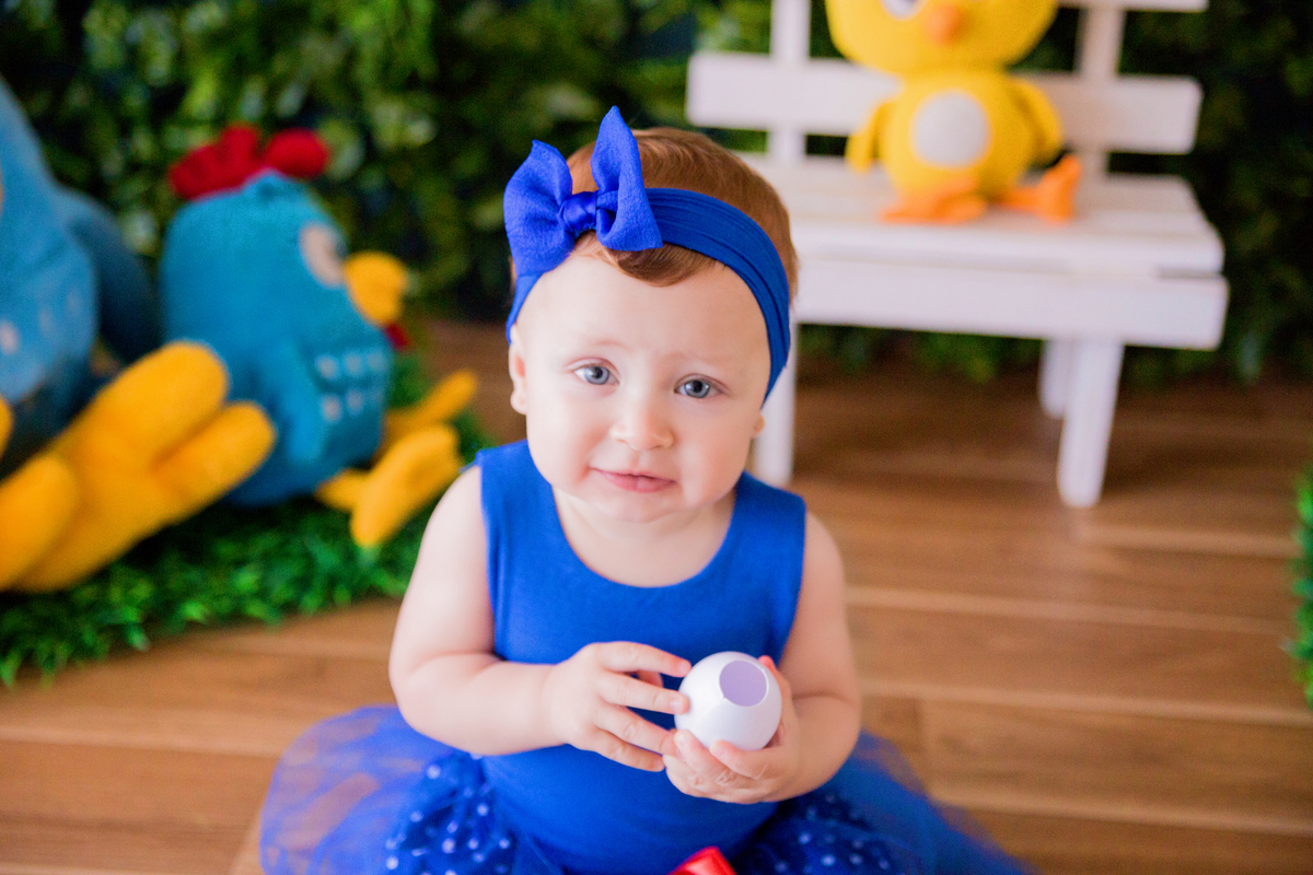 acompanhamento mensal de bebe caxias do sul figurino cenario tematico  personagem foto infantil serra gaucha fotografia familia mundo azul rosa ensaio fotografico crianca newborn baby menino menina smash the cake esmague o bolo