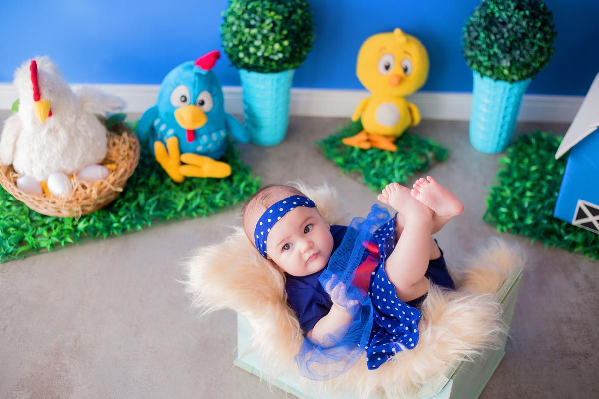 acompanhamento mensal de bebe caxias do sul figurino cenario tematico  personagem foto infantil serra gaucha fotografia familia mundo azul rosa ensaio fotografico crianca newborn baby menino menina smash the cake esmague o bolo galinha pintadinha