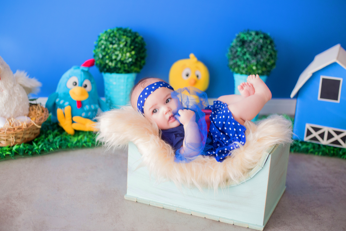 acompanhamento mensal de bebe caxias do sul figurino cenario tematico  personagem foto infantil serra gaucha fotografia familia mundo azul rosa ensaio fotografico crianca newborn baby menino menina smash the cake esmague o bolo galinha pintadinha
